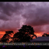 2024-07-06 21.29.41_klein